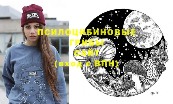 винт Михайлов