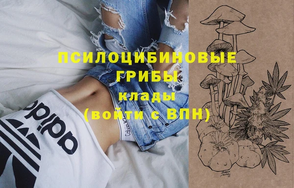 винт Михайлов