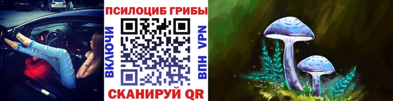 Псилоцибиновые грибы GOLDEN TEACHER Усть-Кут